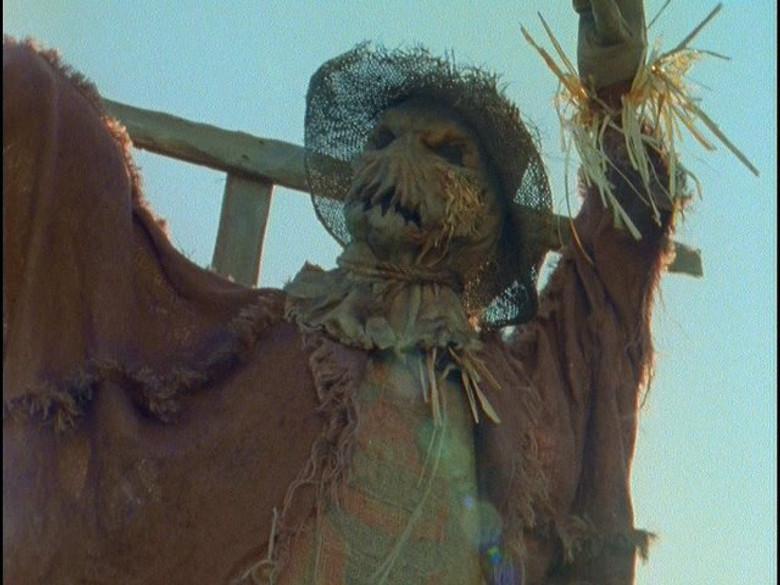 Los espantapájaros andan a medianoche