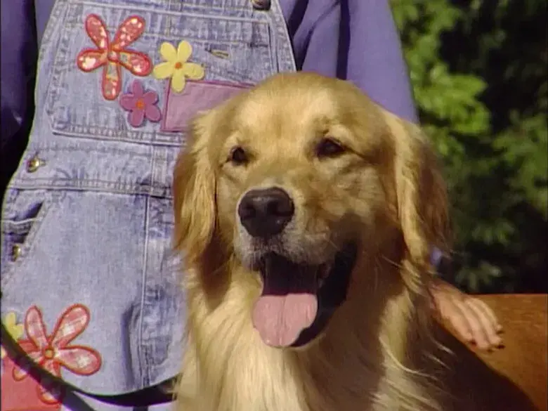 La gran aventura de Comet