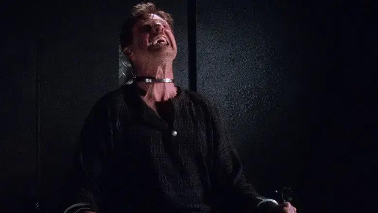 Intersecciones en tiempo real