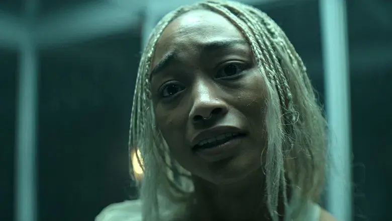 ¿A dónde vas? ¿Dónde has estado?