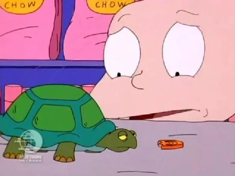 La llamada de la tortuga