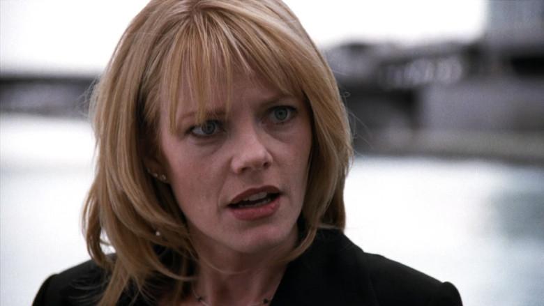 Toma al Pájaro Caído