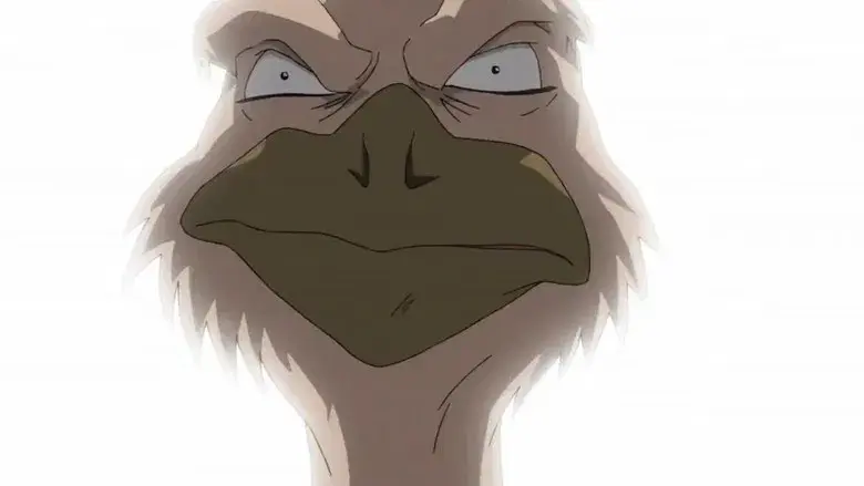 La historia de la Hoja: Distrito animal