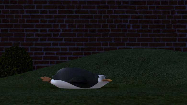 Al pingüino ganador