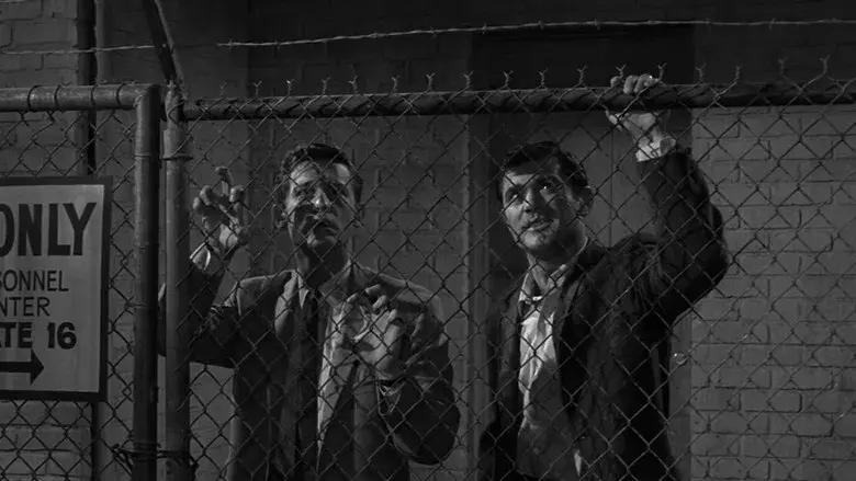 Las personas son iguales en todo