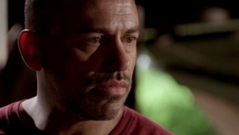 Evolución (Parte 2)