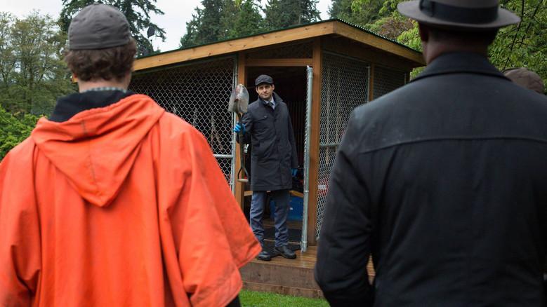 El amor es una rosa y es mejor que no la cojas