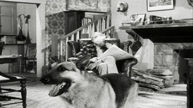 El caso del amante perezoso