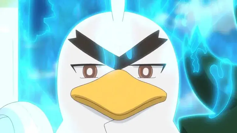 ¡Infinitas posibilidades!