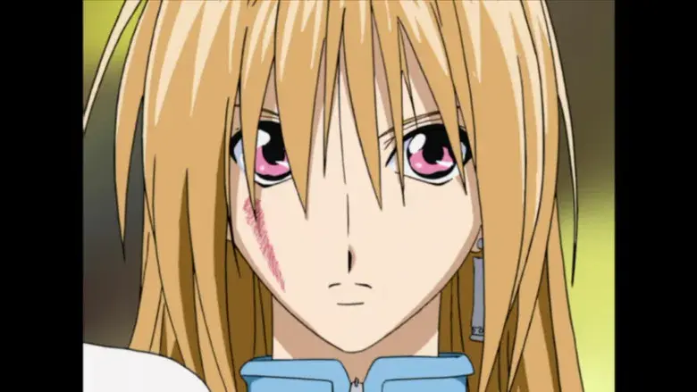 Fantasma y los caballeros del zodiaco