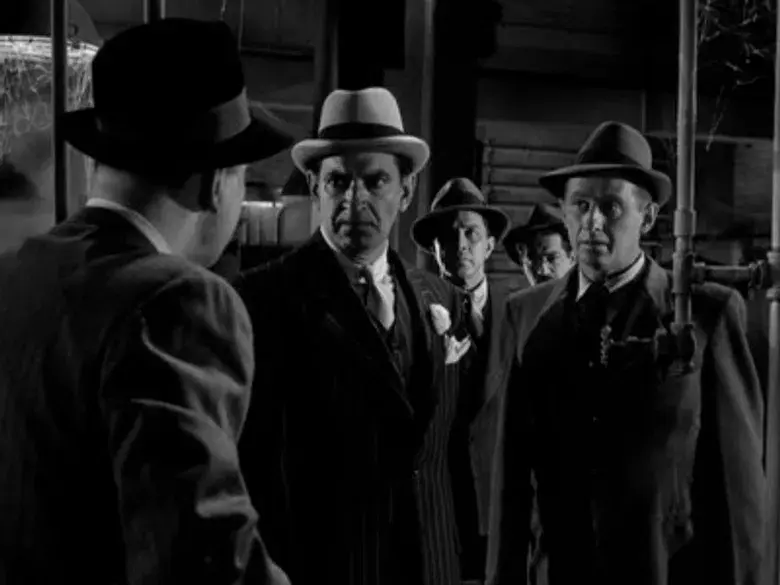 El Proyecto de Matt Bass