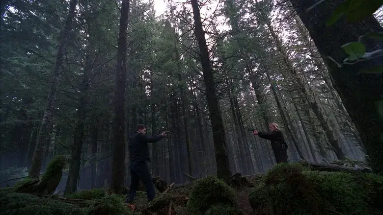 En busca de un significado