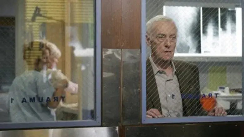 Alguien a quien amar