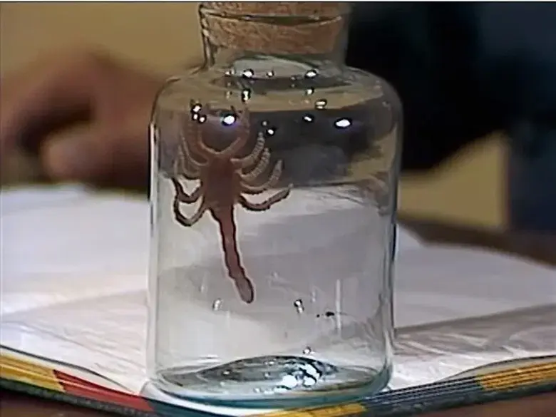 Ciências Naturales - parte 1