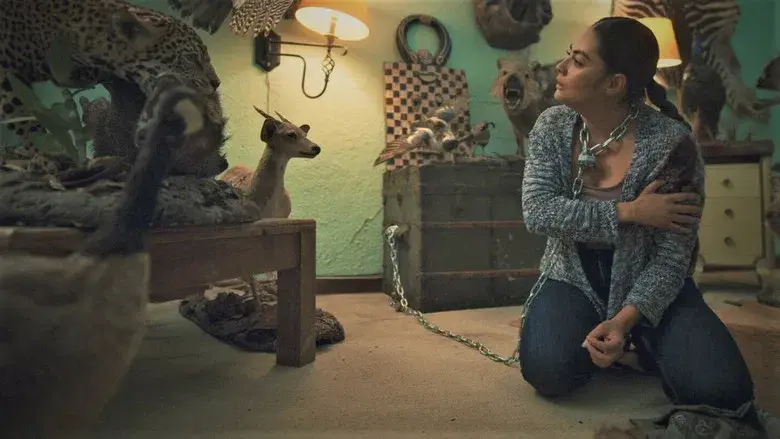 Una mentira tras otra