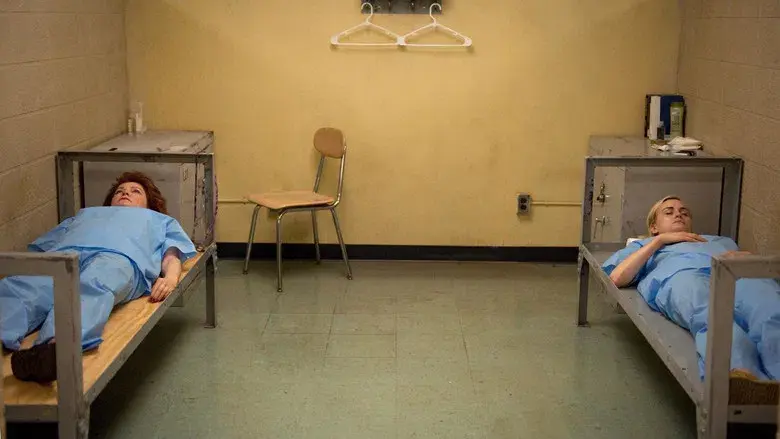 Chinches y más allá