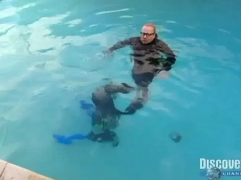 Remolino, Quitanieves