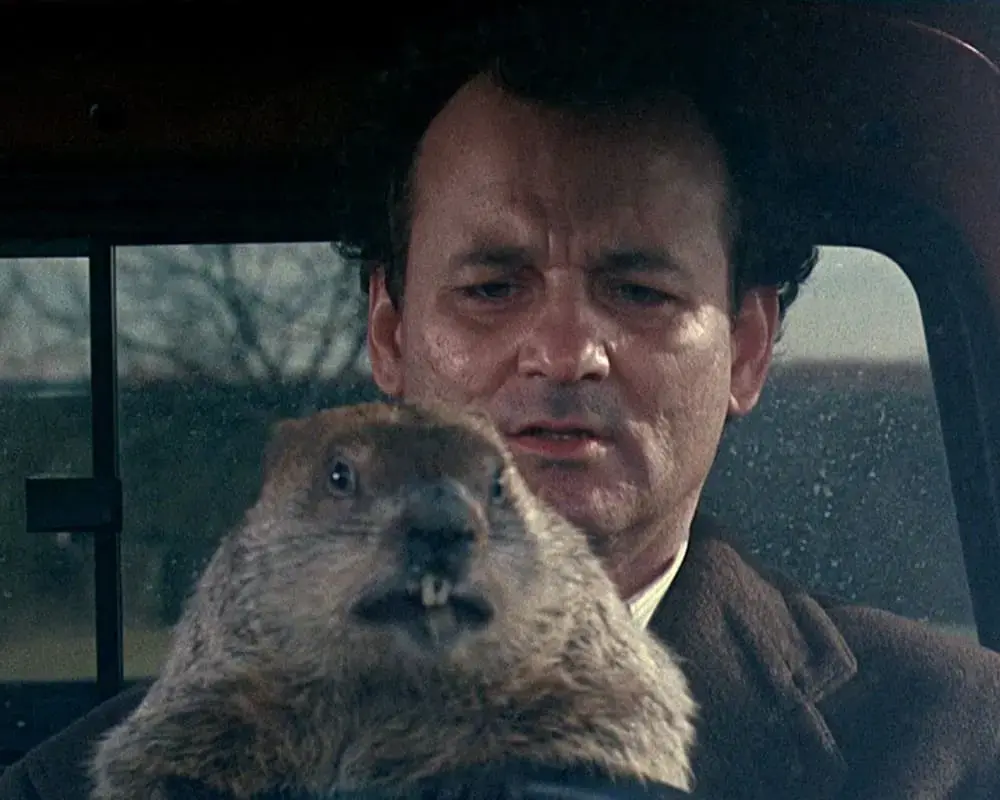 2 de febrero: ¡Feliz día de la marmota!