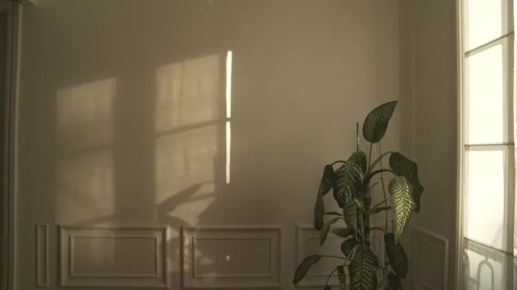 Crítica de 'Apuntes desde el encierro', de Franca González