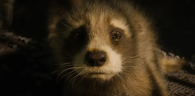 Crítica de ‘Guardianes de la Galaxia Vol. 3’, el sorprendente y emotivo final